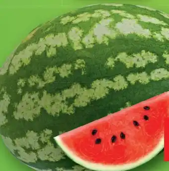 Lidl Riesen-Wassermelone Angebot
