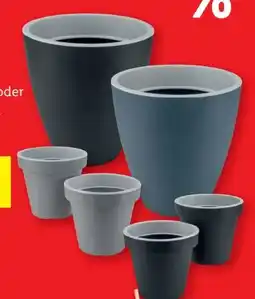 Lidl Parkside Pflanztopf Angebot