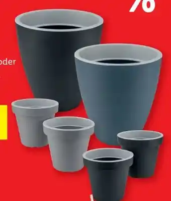Lidl Parkside Pflanztopf Angebot