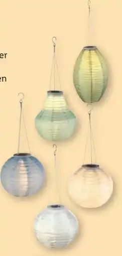 Lidl Livarno Home Solar-LED-Lampion Angebot