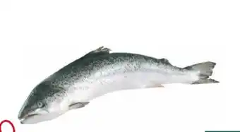 Transgourmet Vonatur Hiddenfjord Lachs Angebot