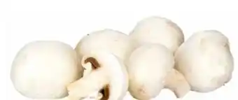 Transgourmet Champignons Angebot