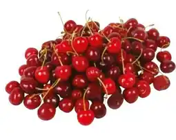 Transgourmet Kirschen Angebot
