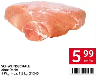 Transgourmet Schweinsschale Angebot