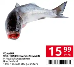 Transgourmet Vonatur Wolfsbarsch Ausgenommen Angebot
