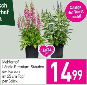 Sutterlüty Mahlerhof Ländle Premium-Stauden div. Farben Angebot