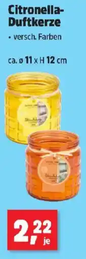 Thomas Philipps Citronella- Duftkerze Angebot