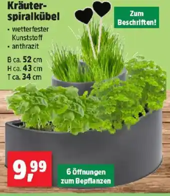 Thomas Philipps Kräuter spiralkübel Angebot