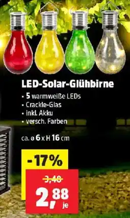 Thomas Philipps LED Solar Glühbirne Angebot