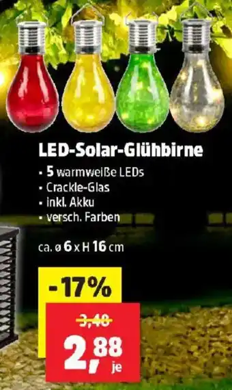 Thomas Philipps LED Solar Glühbirne Angebot
