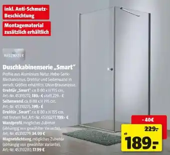 Hagebau Wellwater Drehtür Smart Angebot