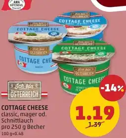 PENNY Cottage Cheese Angebot