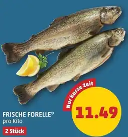 PENNY Frische Forelle Angebot