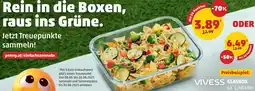 PENNY Vivess glasbox Angebot