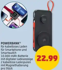 PENNY Powerbank Angebot