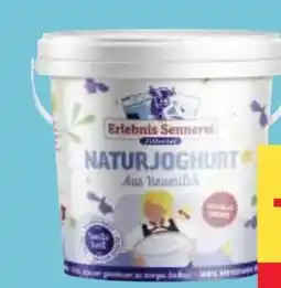 MPreis Erlebnis Sennerei Zillertal Naturjoghurt Angebot