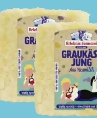 MPreis Erlebnis Sennerei Zillertal Zillertaler Graukäse Jung Angebot