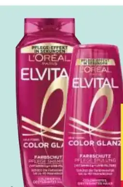 MPreis L'Oréal Paris Elvital Shampoo Angebot