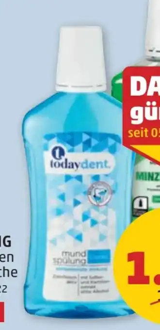 PENNY Today Dent Mundspülung Angebot