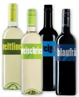PENNY Winvino Mein Zweigelt Angebot