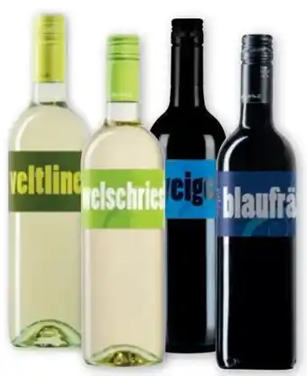 PENNY Winvino Mein Zweigelt Angebot