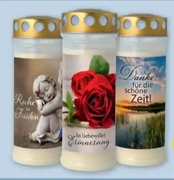PENNY Hofer Kerzen 3 Tage Grablicht Angebot