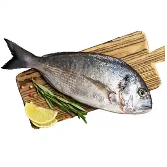 Lidl Frische Dorade 4er Pack Lidl Angebot