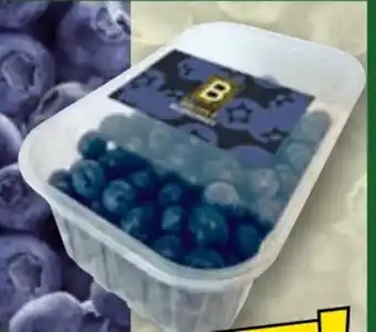 Norma Golden B Blueberries Premium Kultur-Heidelbeeren Angebot