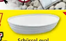 Norma Schüsseln Angebot