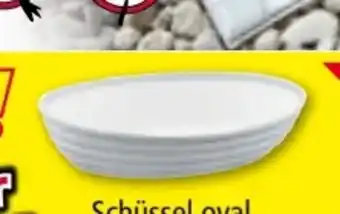 Norma Schüsseln Angebot