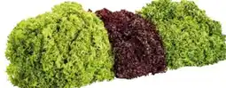 Transgourmet Vonatur Scheit‘s Bio Mixsalat Angebot
