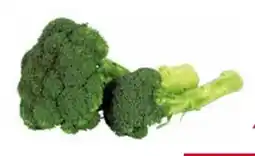 Transgourmet Broccoli Angebot
