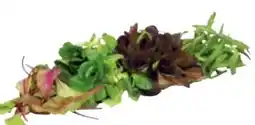 Transgourmet Natürlich für uns Bio Mix Pflücksalat Angebot