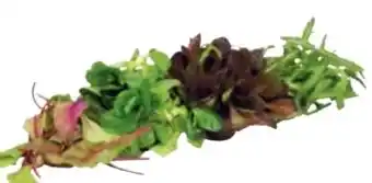 Transgourmet Natürlich für uns Bio Mix Pflücksalat Angebot