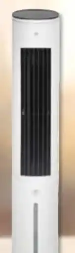 Expert Nabo Aircool Ionic Verdunstungsluftkühler Angebot