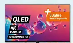 Expert Nabo QLED-TV 40LQ6000 Angebot