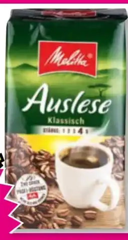 Norma Melitta Auslese Angebot