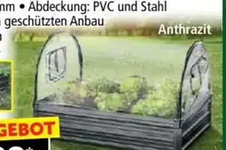 Norma Green Yard Gartenbeet Angebot