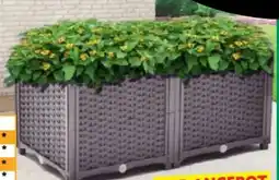 Norma Green Yard Pflanzkübel Angebot