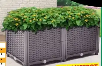 Norma Green Yard Pflanzkübel Angebot