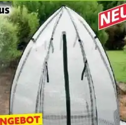 Norma Hardin 1Fachgut Gartengewächshaus Angebot