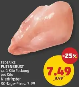 PENNY FEDERIKE PUTENBRUST Angebot