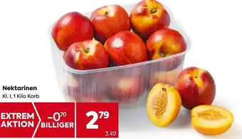 Billa Nektarinen Angebot