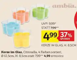 XXXLutz Ambia Home Kerze Angebot