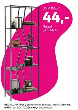 Mömax Regal Amana Angebot