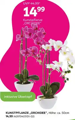 Mömax Kunstpflanze Orchidee Angebot