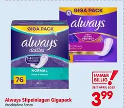 Interspar ALWAYS SLIPEINLAGEN GIGAPACK Angebot