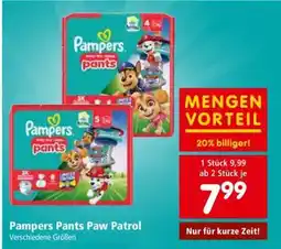 Interspar Pampers Pants Paw Patrol Angebot
