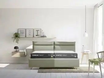 XXXLutz Polsterbett Timeless Angebot