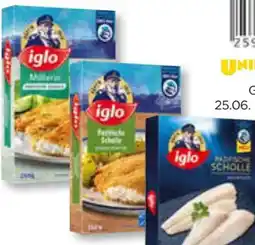 Unimarkt Iglo Scholle Angebot